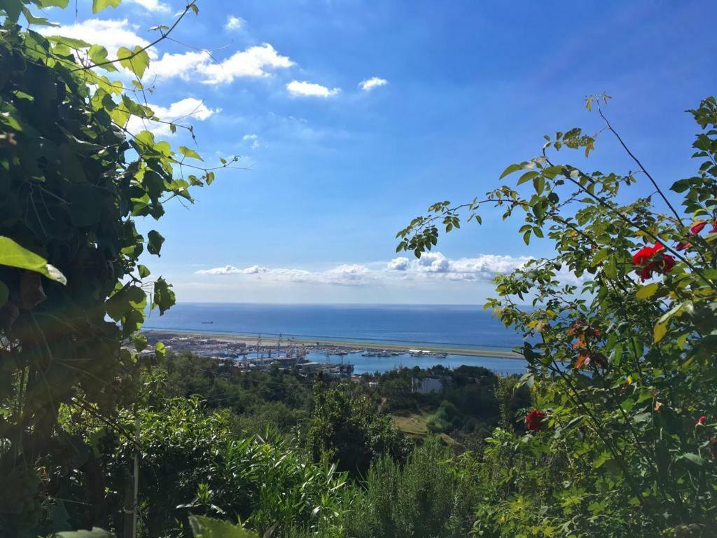 Alloggio per agriturismo Agriturismo Fattoria Montecontessa