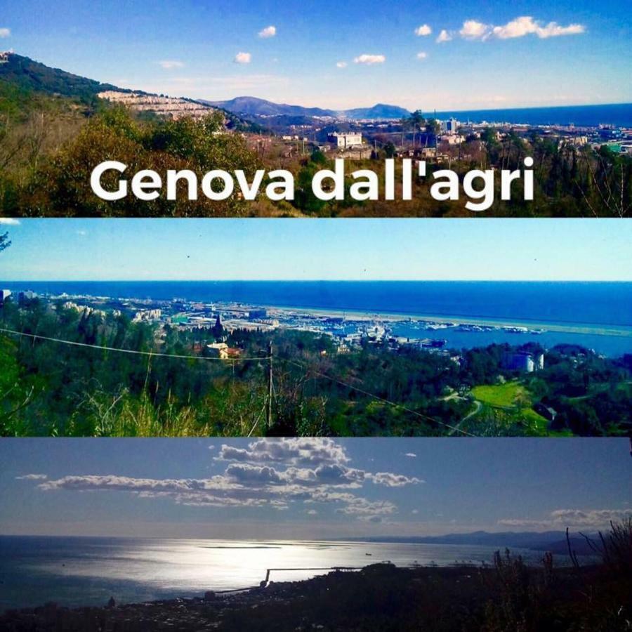 Agriturismo Fattoria Montecontessa Genua