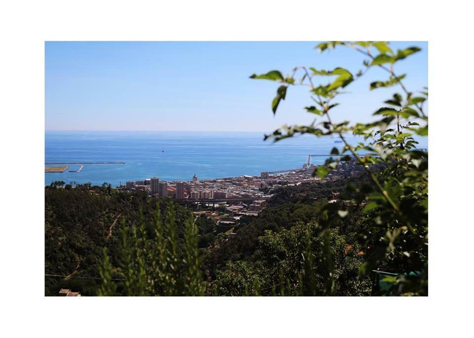 Agriturismo Fattoria Montecontessa Genoa