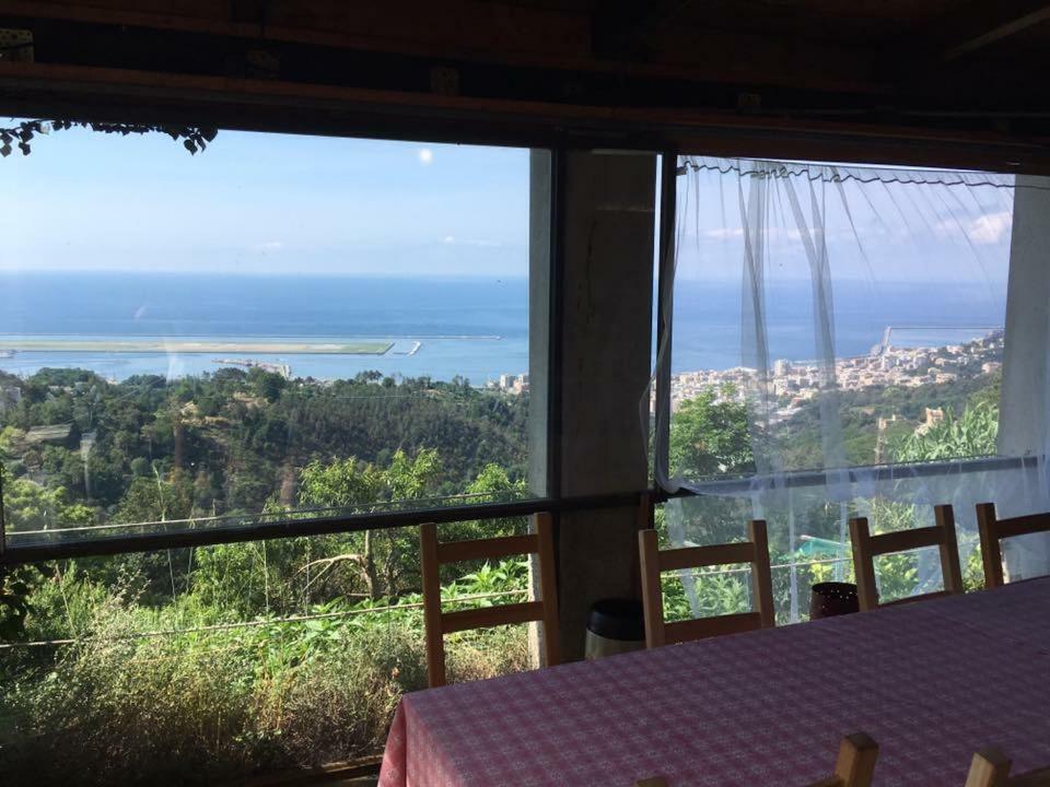 Vakantieboerderij Agriturismo Fattoria Montecontessa
